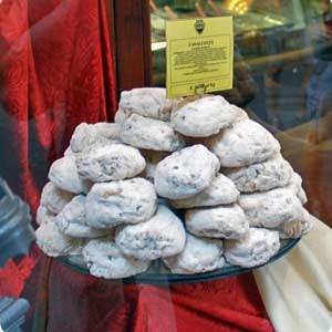 I Cavallucci I Cavallucci