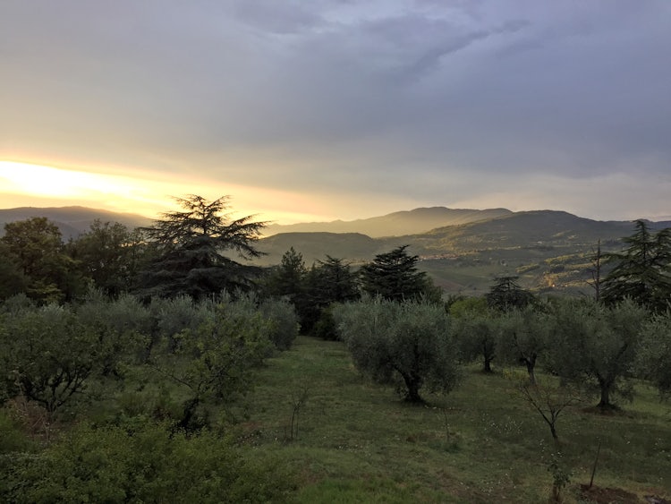 Dove Dormire a Firenze? Le Zone Migliori dove Alloggiare in Città e ... Dove Dormire a Firenze? Le Zone Migliori dove Alloggiare in Città e ...