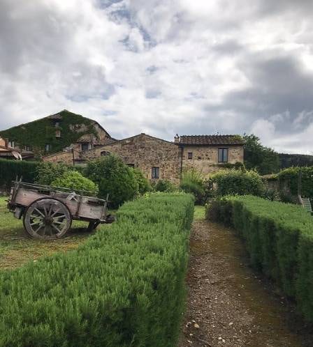 Podere Patrignone rosemary walk-ways :: Discover Tuscany