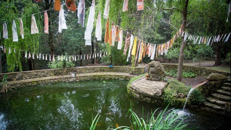 Podere Patrignone pond in Castellina in Chianti :: Discover Tuscany